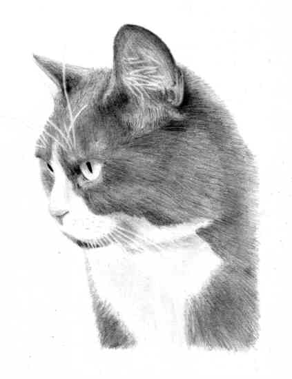 Oliver Watching for web