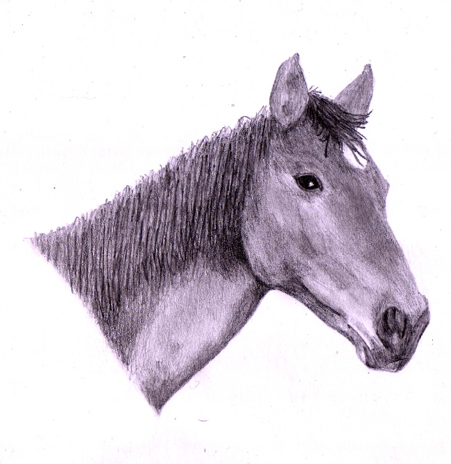 Polly III graphite colour